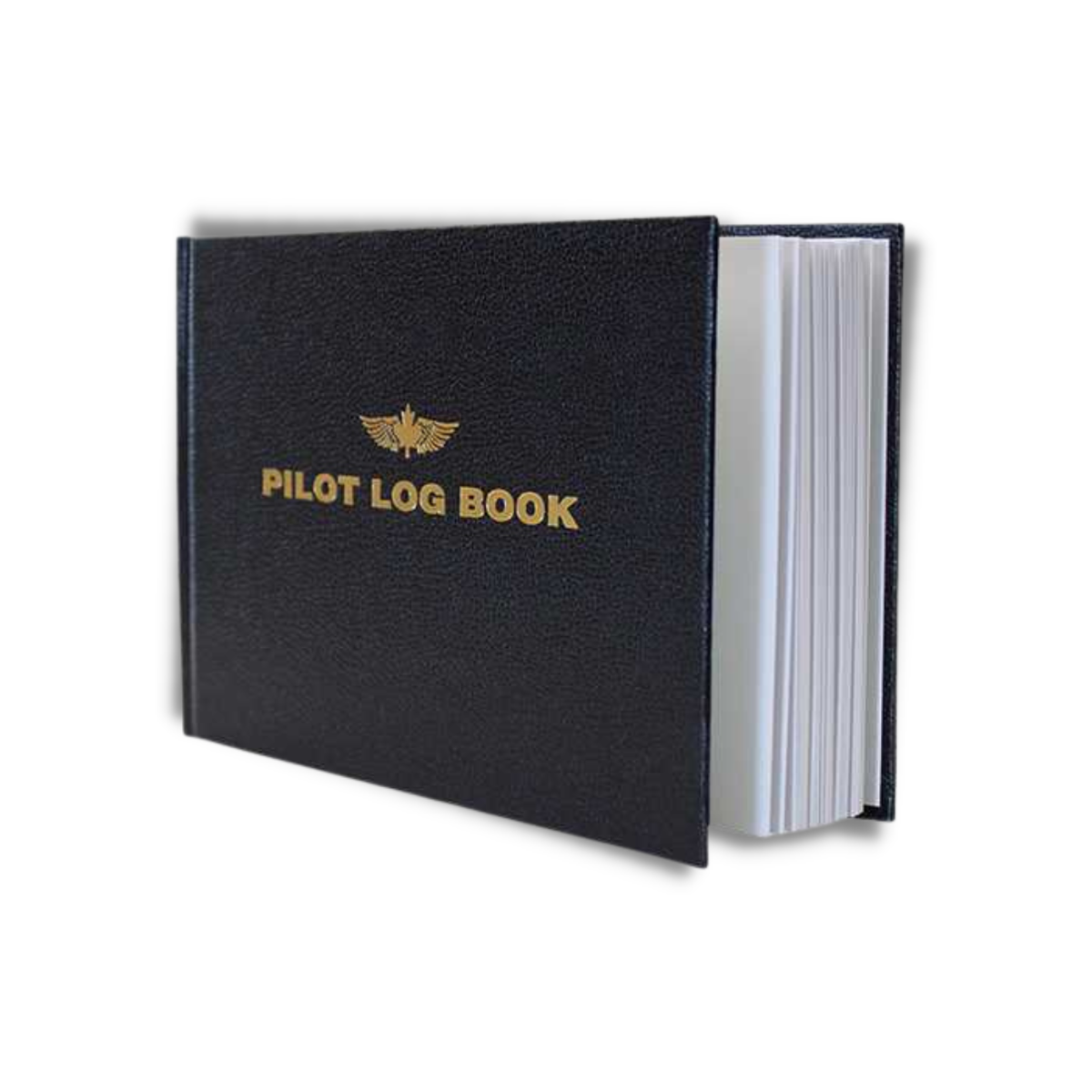 Ground School Kit (PPL)
